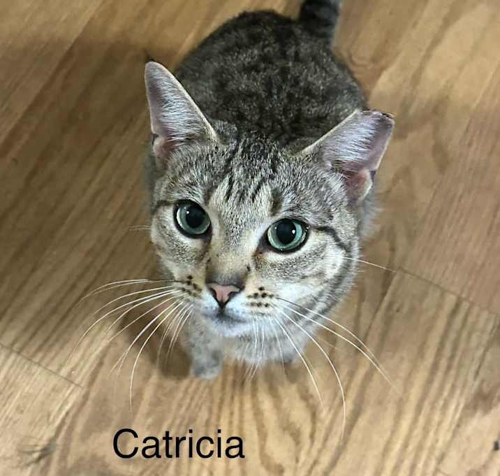 Photo of Catricia