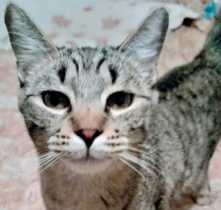 Photo of Happy ⭐️PROMOTION⭐️ Care Bears Litter