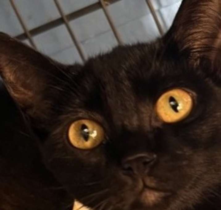 Photo of Devoid C000-471- Chino Hills Location