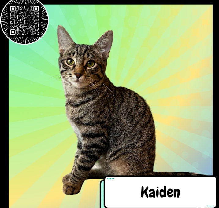 Photo of Kaiden Alenko 