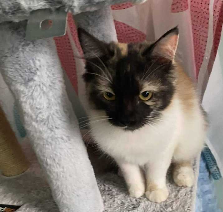 Photo of Brooke and Brooklyn