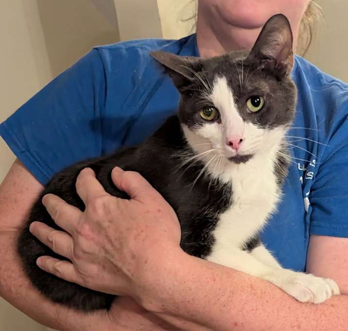 Photo of Samuel L Catson