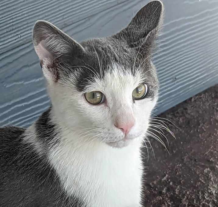 Photo of Dude and Buffalo