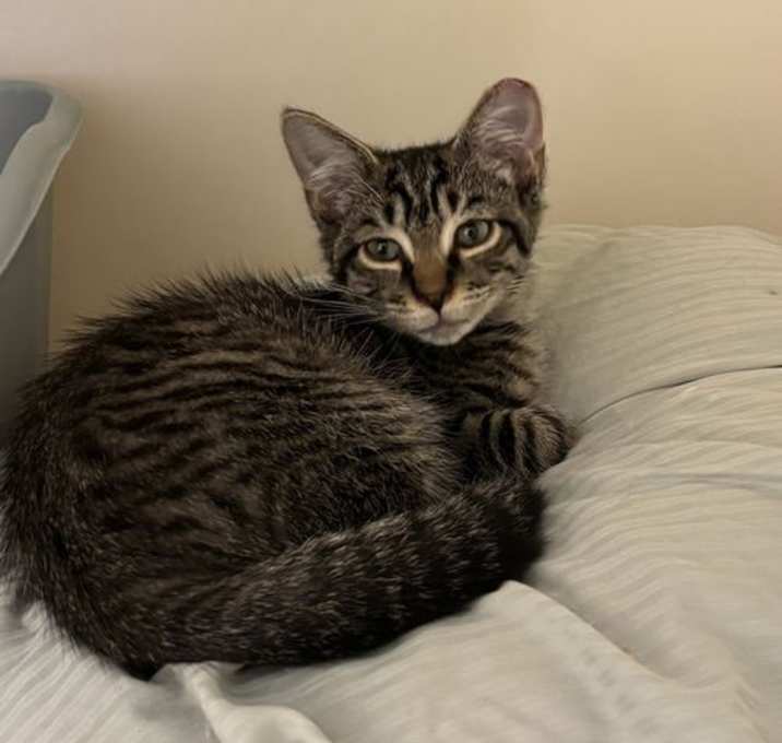 Photo of Charley Jr.