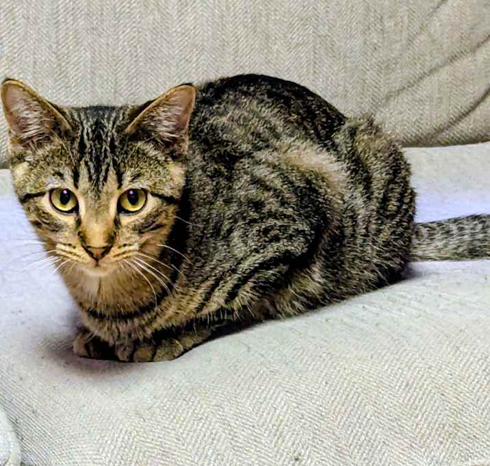 Photo of Pennsylvania 