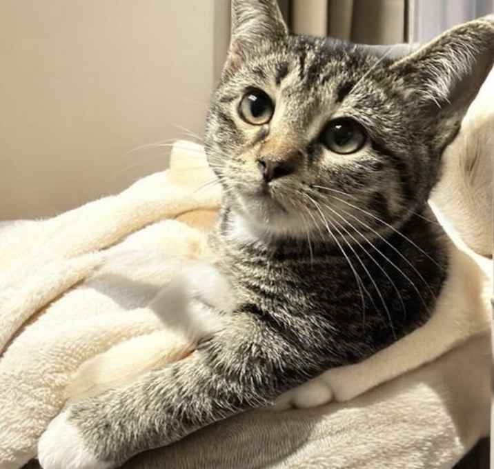 Photo of Evie (bonded pair with Seely)