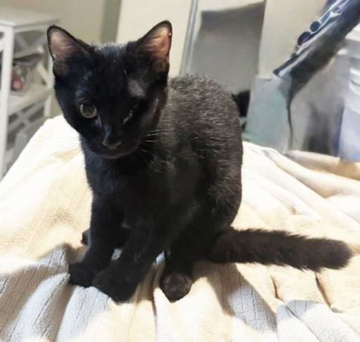 Photo of Serena Williams