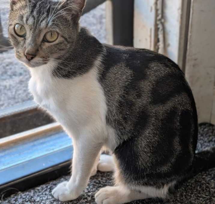 Photo of Lucy Lovebug