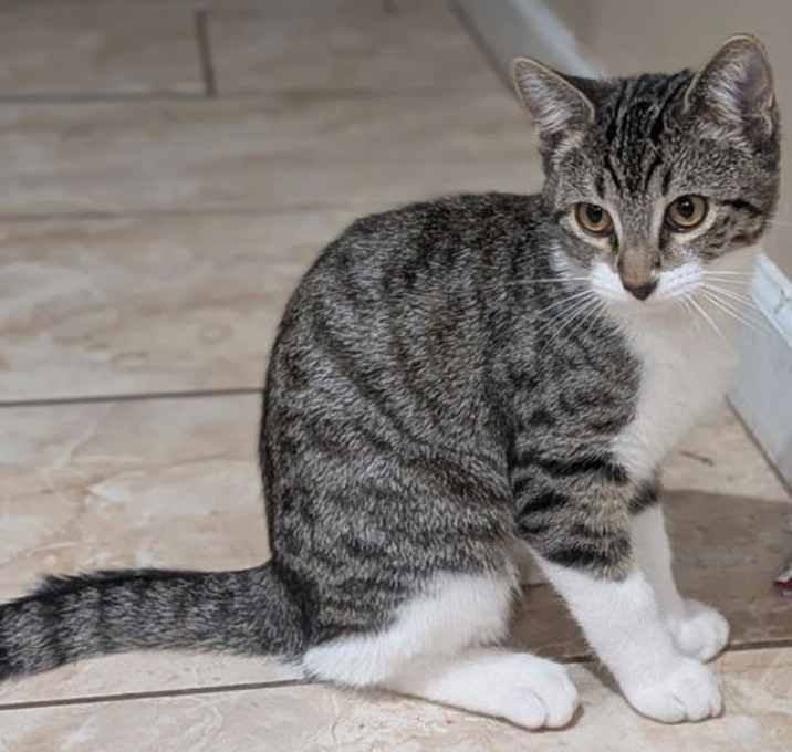 Photo of Sunny Lovebug