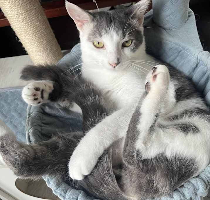 Photo of Skittles Abner