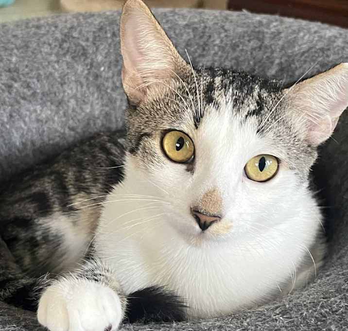 Photo of Butters Abner