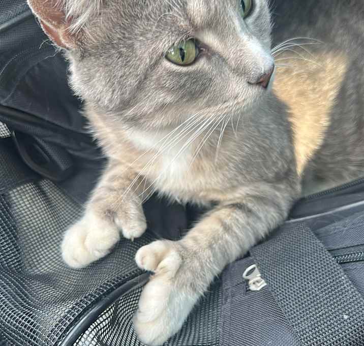 Photo of Tommy Two Thumbs