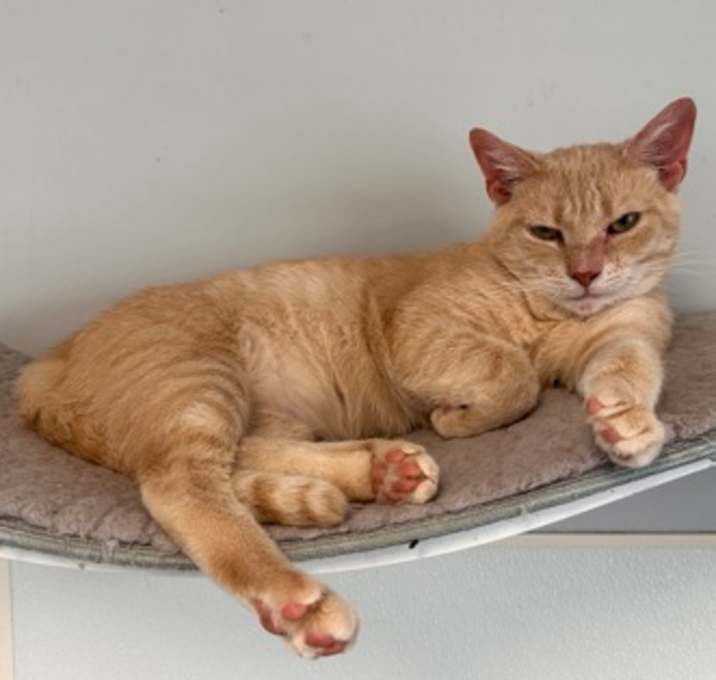 Photo of Frank FKA C12