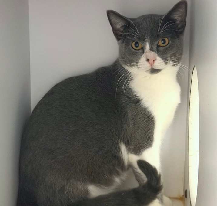 Photo of Mister Ralph