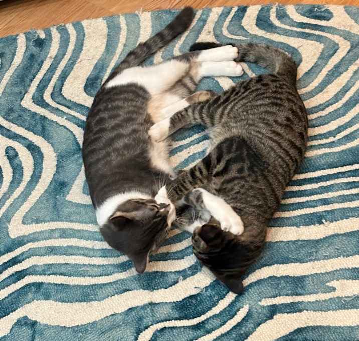 Photo of Jackson / Alex