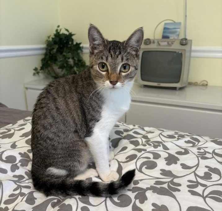 Photo of Rosie Briar