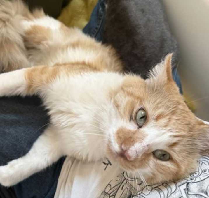 Photo of Carmelo Cadbury