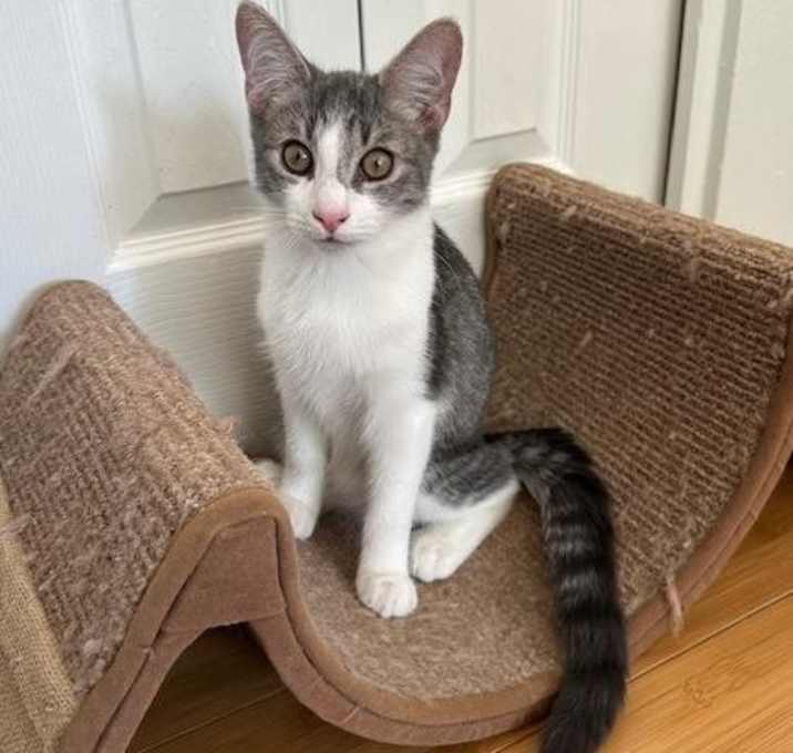 Photo of Tres Girard