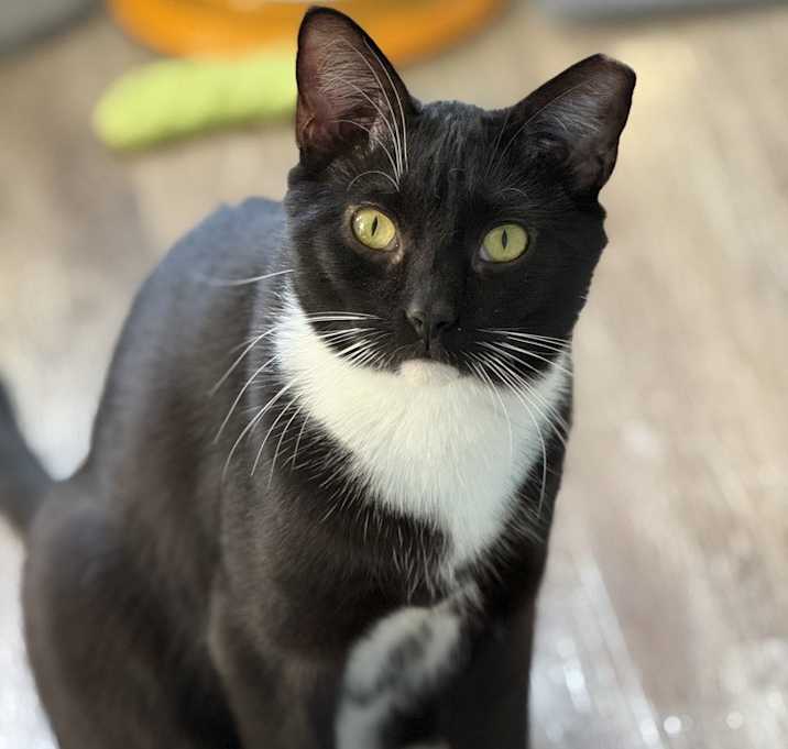 Photo of Drizzle - MS