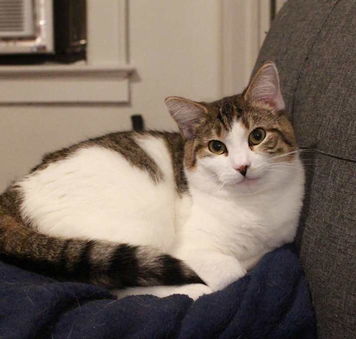 Photo of Sandy Cheeks