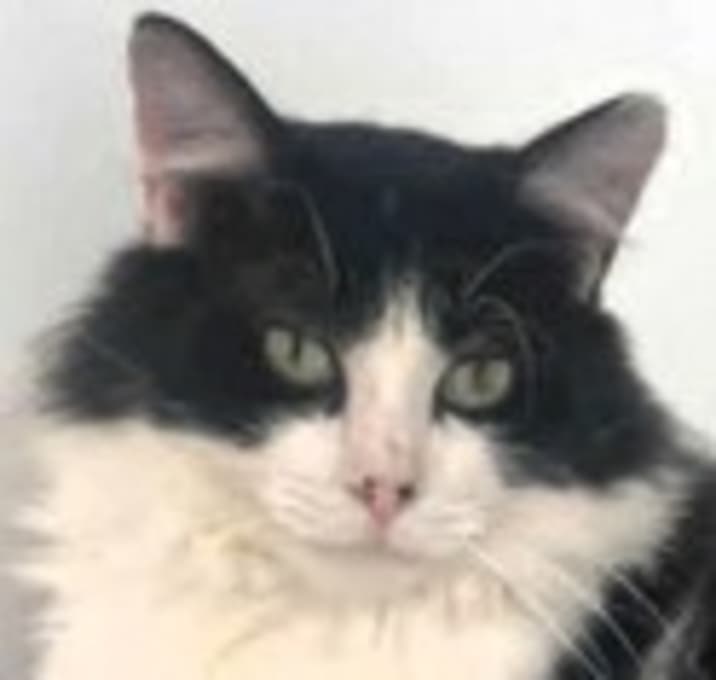 Photo of Tux Trimble