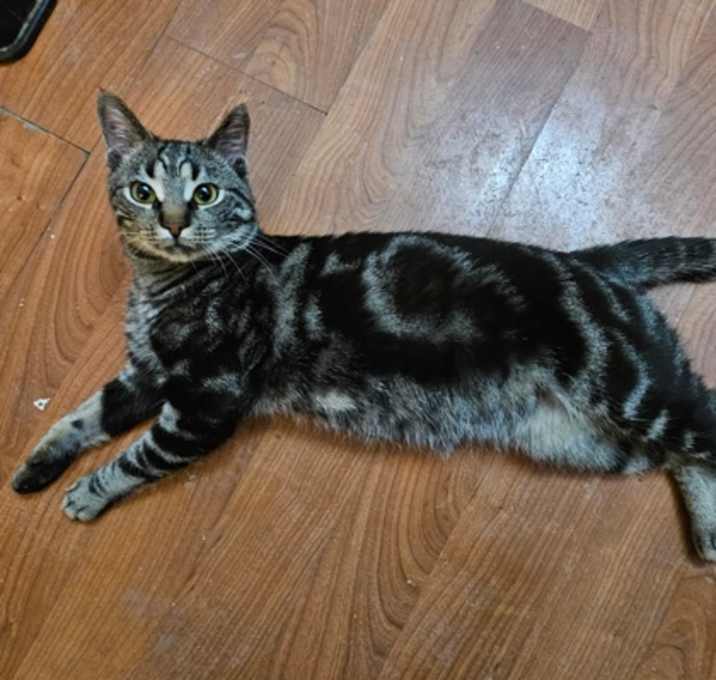 Photo of Coco Butter