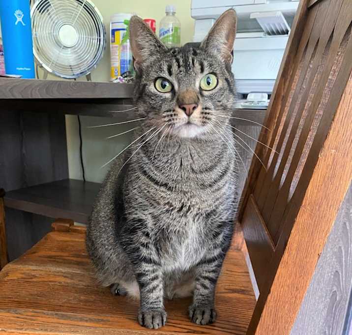 Photo of Wisper 2021