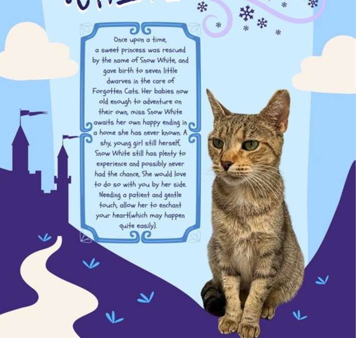 Photo of Snow White (FCID# 09/03/2025 - 12 Millsboro PS)