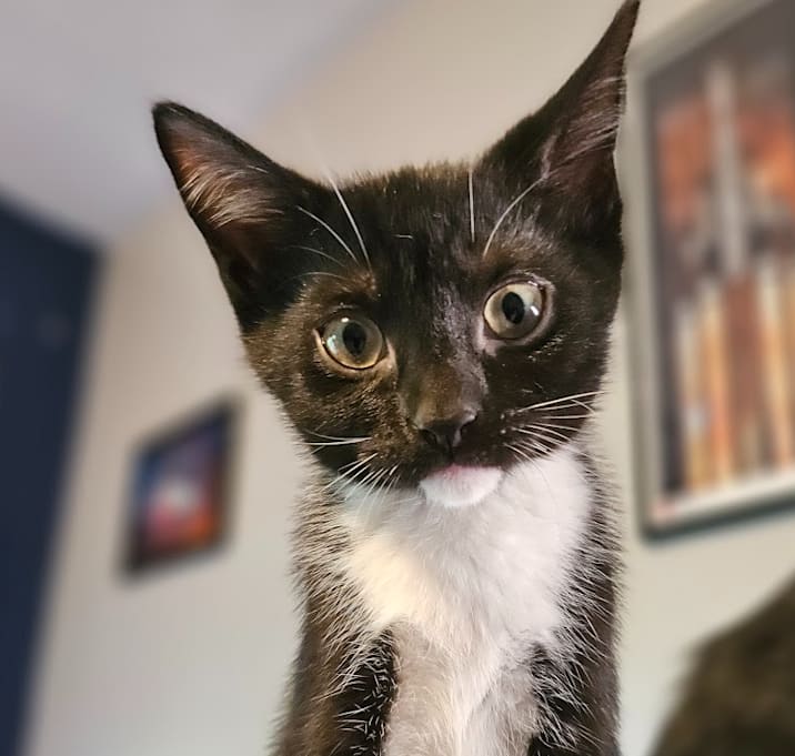 Photo of 1125-02 Ashley