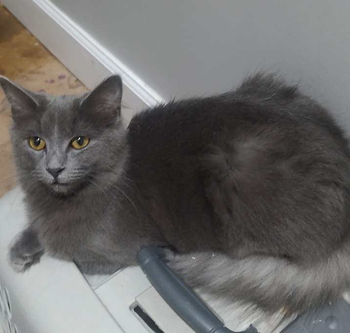 Photo of Nancy Sinatra