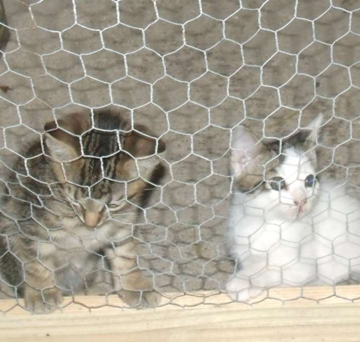 Photo of No names given