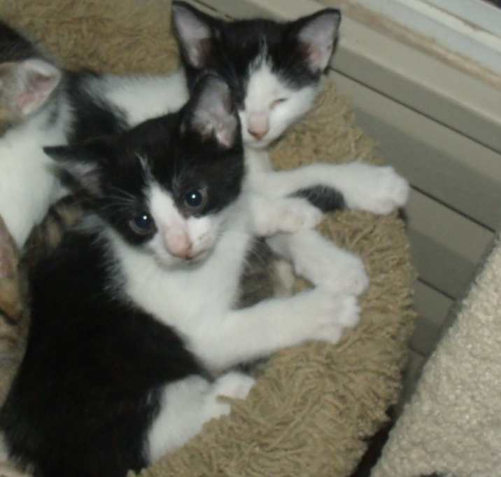 Photo of no names #2