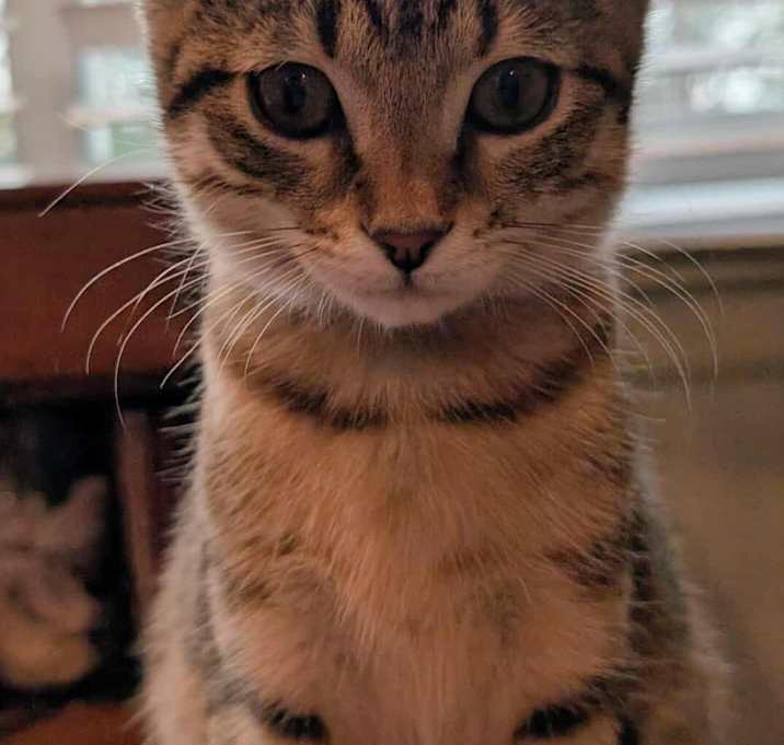 Photo of Pawzy Clawsbourne