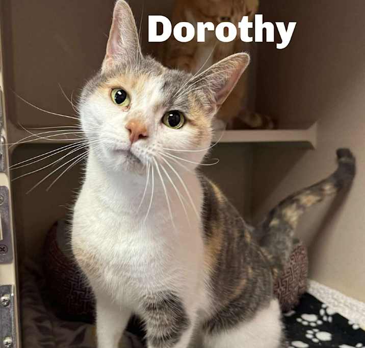 Photo of Dorothy 251015