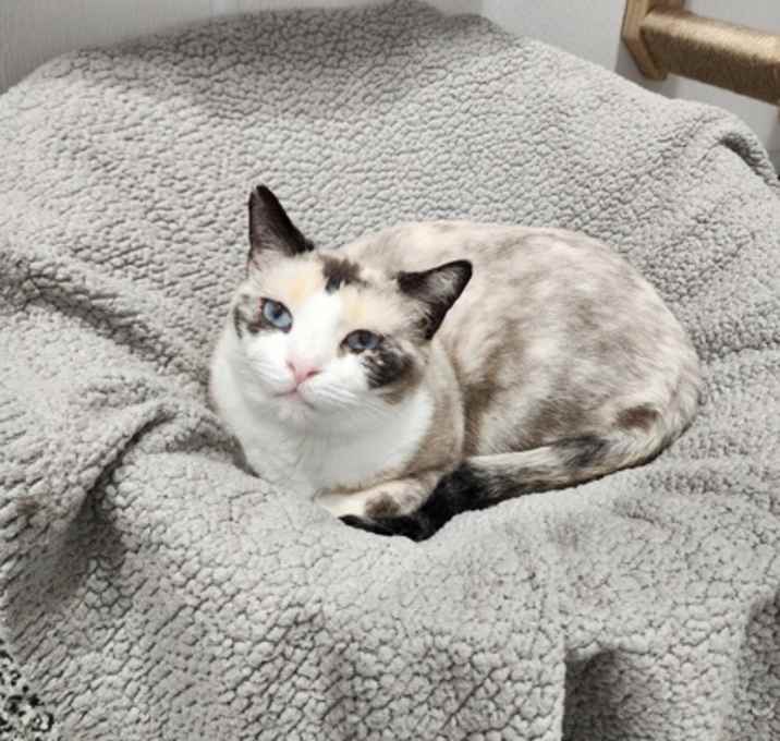 Photo of Ms. Pebbles