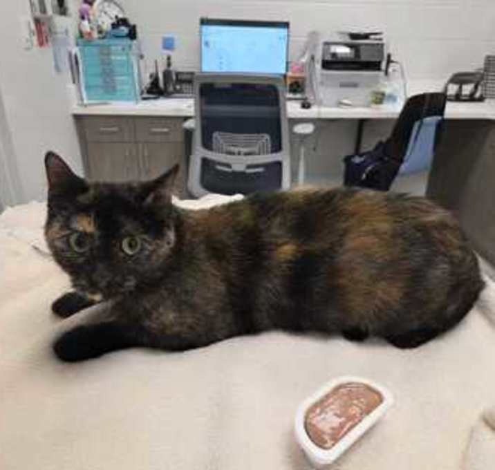 Photo of Aunt Gladys