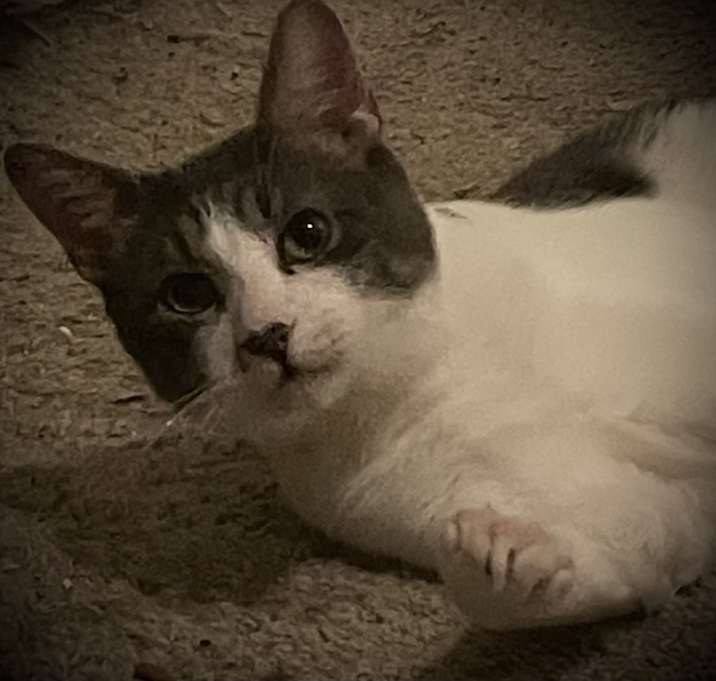 Photo of Wyatt and Doc