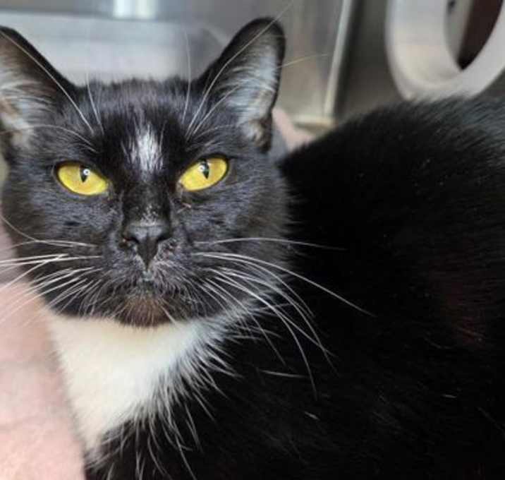 Photo of Really Cute