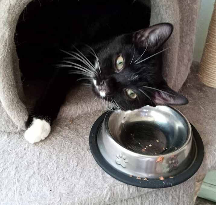 Photo of Loverboy Laurelton