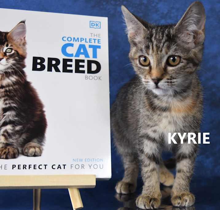 Photo of Kyrie/Princess