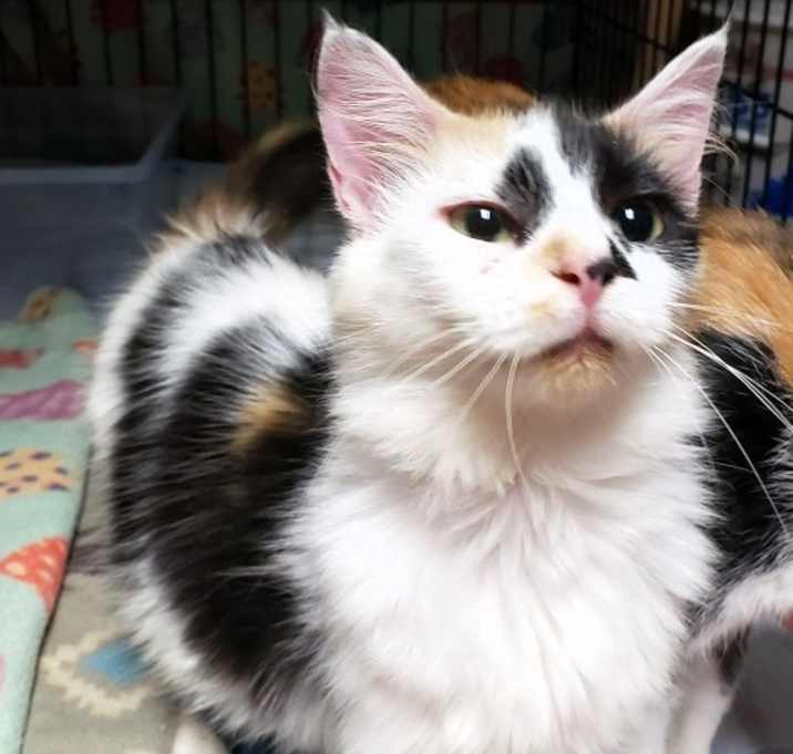 Photo of Kellie Anne