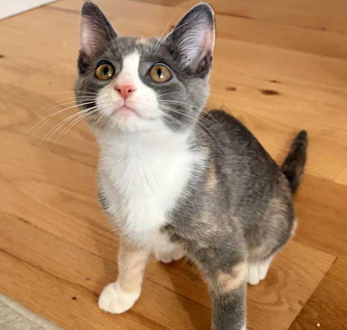 Photo of Autumn Reilly