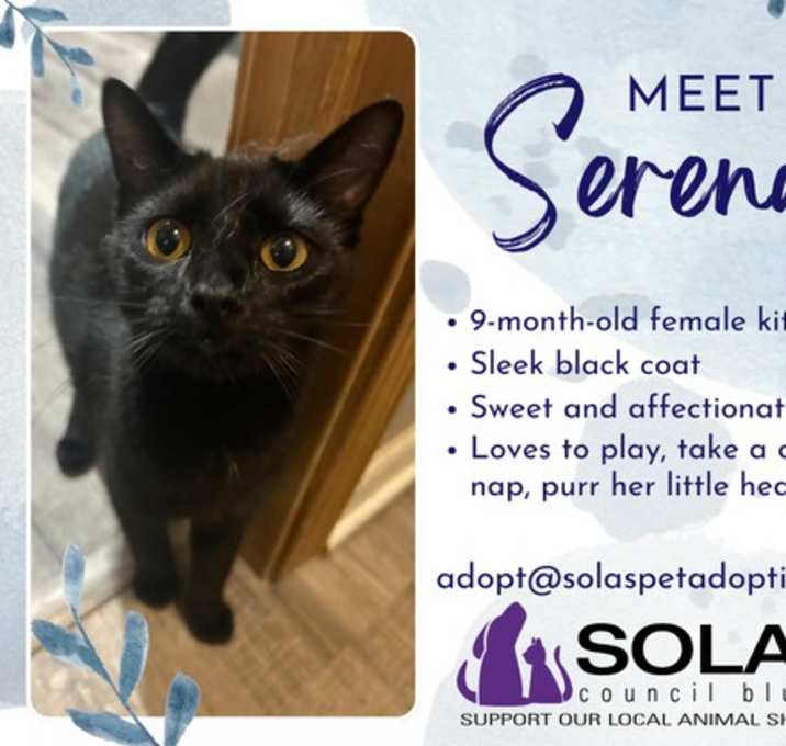 Photo of Serena  --  (tv)