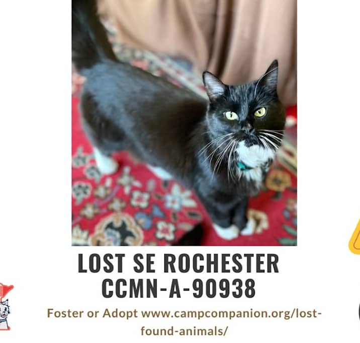 Photo of Raya is LOST