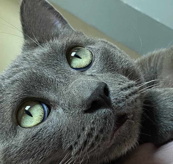 Photo of Smokey