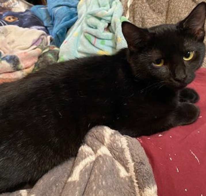 Photo of Salem w/Melba (FCID# 09/03/2025 - 7)