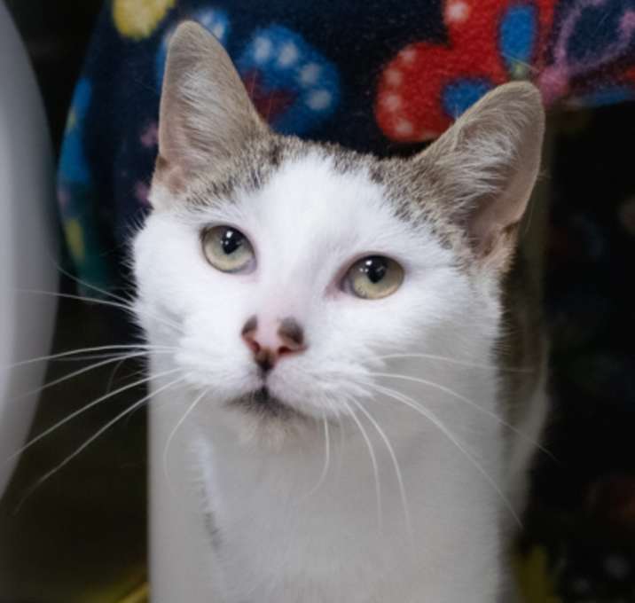 Photo of Squid Exile