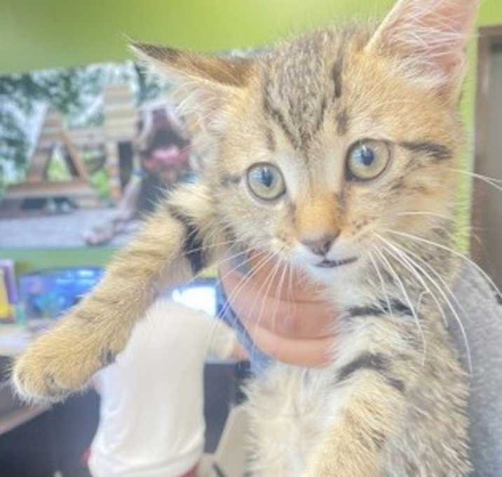 Photo of Mariah Carey