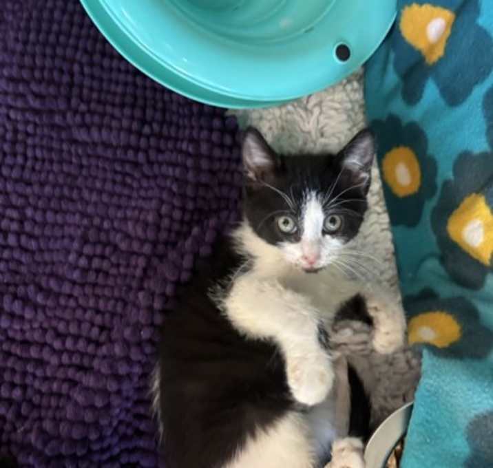 Photo of Lucky Charm