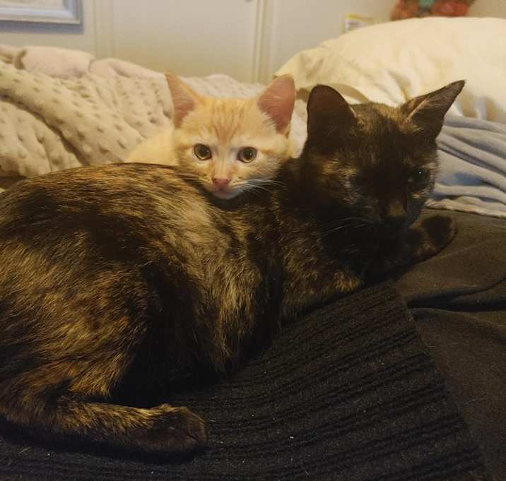 Photo of Esperanza AR